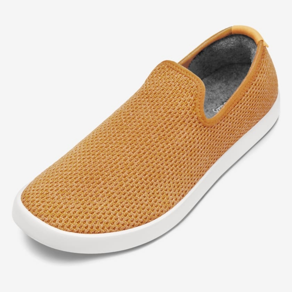 Allbirds Tree Loungers